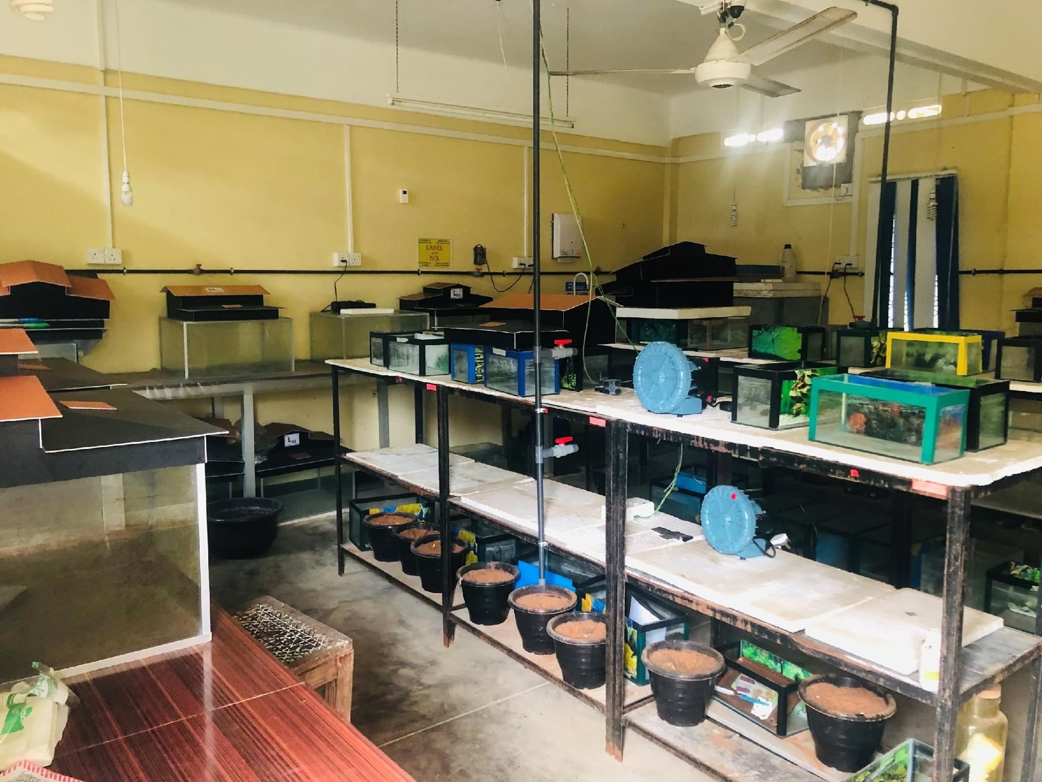 Aquaculture fish farm